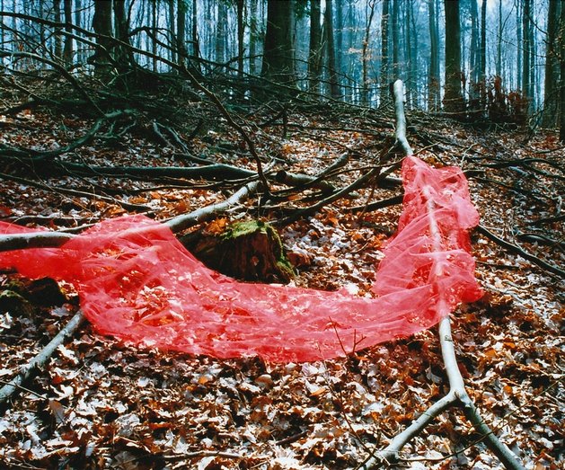 Ham, 2003, Lene Sørensen